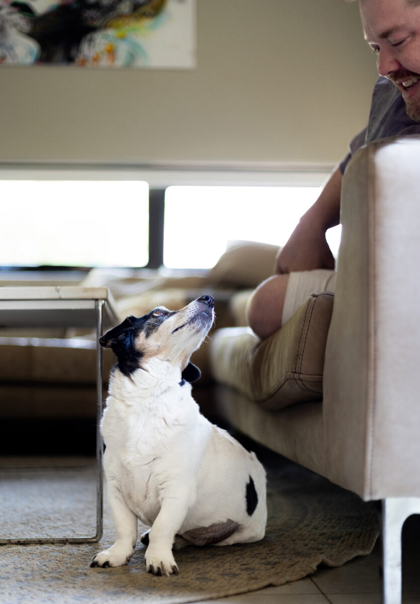 Pet