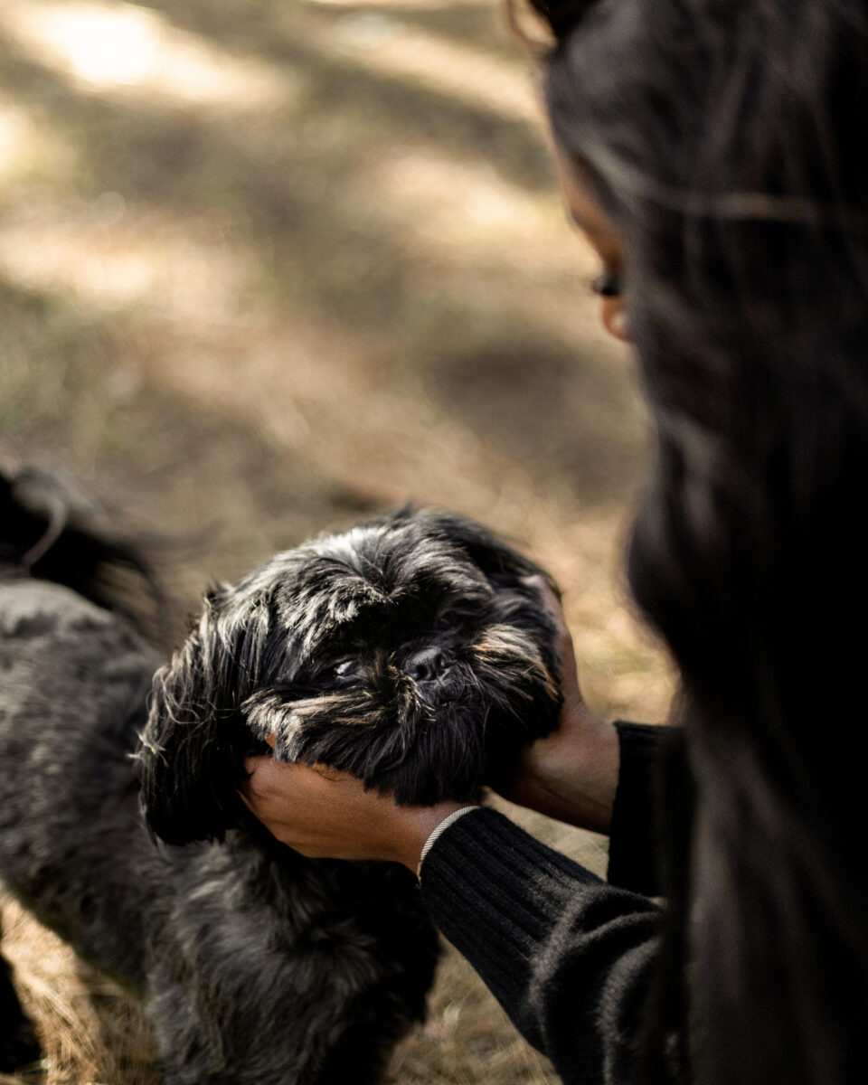 Pet